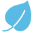 Blue leaf icon