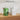 Desktop Air Purifier for xTool F1 & M1 Ultra - Forward Education
