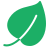 Green leaf icon